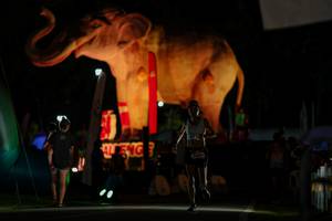 BIB: 
                            <button type="button" onclick="openModal(26530665)" class="btn btn-primary btn-sm float-right btn-popup" data-toggle="modal" data-target=".modal-high-quality">
                        <i class="fas fa-shopping-cart"></i> Add to Cart
                    </button>
                                            <button type="button" onclick="isThisMe(26530665, true)" class="btn btn-success btn-sm float-right btn-popup btn-isme hidden" data-toggle="tooltip" data-placement="bottom" title="นี่คือรูปของคุณใช่ไหม คลิกที่นี่เพื่อเอาเข้าอัลบั้ม">
                        <i class="fas fa-plus"></i> Add to album
                    </button>
                    <button type="button" onclick="isThisMe(26530665, false)" class="btn btn-warning btn-sm float-right btn-popup btn-isnotme hidden">
                        <i class="fas fa-ban"></i> Remove from album
                    </button>